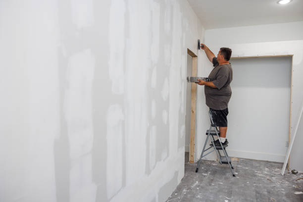 Best Real Estate Mold Inspection  in Bay City, TX