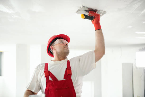 Best Water Damage & Mold Remediation  in Bay City, TX