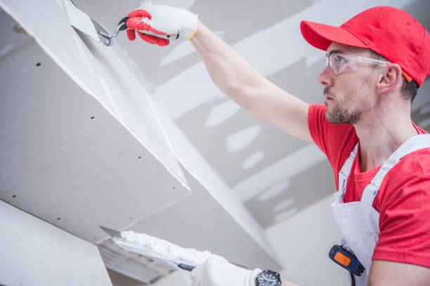 Best Mold Odor Removal Services  in Bay City, TX